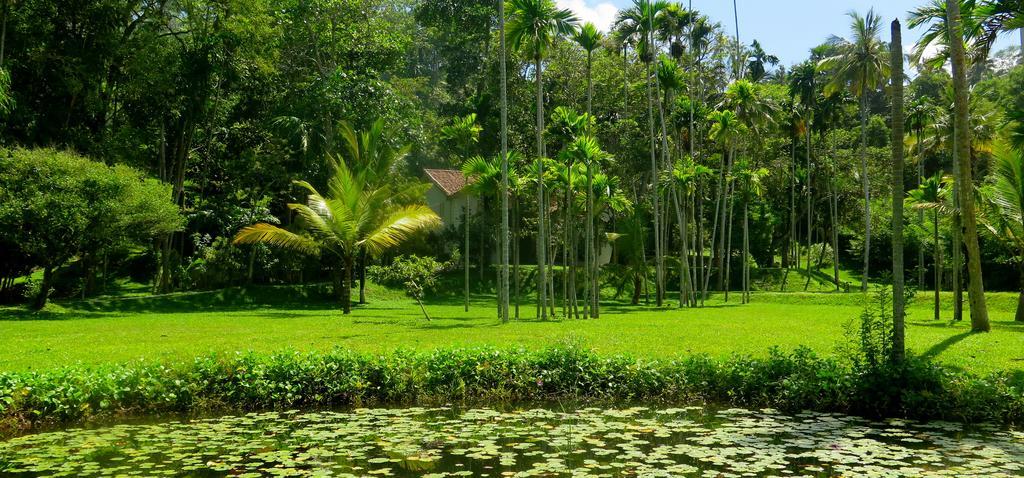 Siri Wedamadura Villa Weligama Rum bild