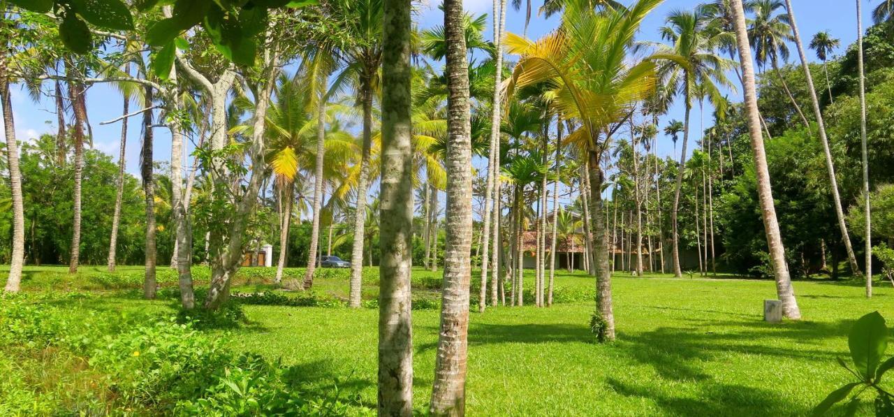 Siri Wedamadura Villa Weligama Rum bild
